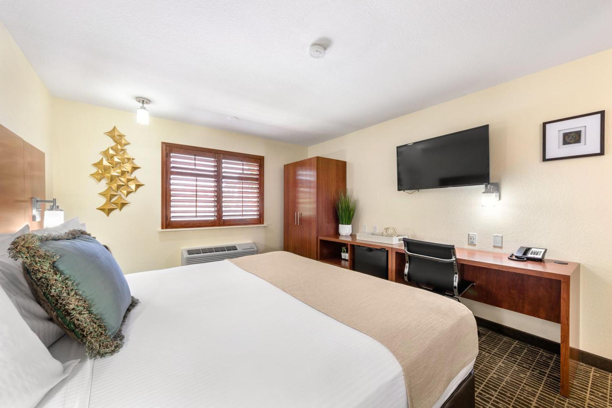 King Room - Disability Access/Non-Smoking,1210368973:JPEG